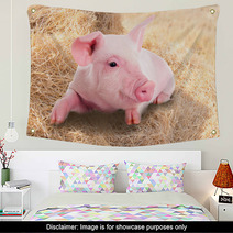Pink Piggy Lying In Dry Straw. Wall Art 62247026