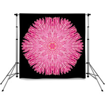 Pink Purple Mandala Flower Kaleidoscope Isolated On Black Backdrops 65035821