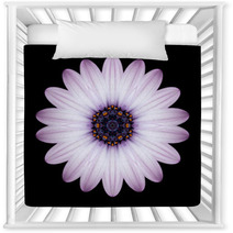 Pink Purple Mandala Flower Kaleidoscope Isolated On Black Nursery Decor 65035995