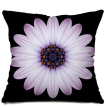 Pink Purple Mandala Flower Kaleidoscope Isolated On Black Pillows 65035995