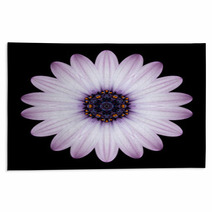 Pink Purple Mandala Flower Kaleidoscope Isolated On Black Rugs 65035995