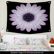Pink Purple Mandala Flower Kaleidoscope Isolated On Black Wall Art 65035995