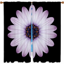 Pink Purple Mandala Flower Kaleidoscope Isolated On Black Window Curtains 65035995