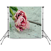 Pink Tulips On A Wooden Surface Backdrops 40665591
