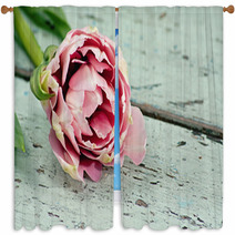Pink Tulips On A Wooden Surface Window Curtains 40665591
