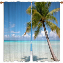 Plage Et Cocotier Iles Turkoises  Bahamas Window Curtains 4670414