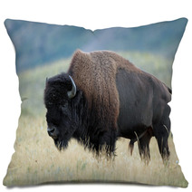 Plains Bison - Waterton Lakes National Park, Alberta Pillows 34912613