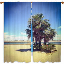 Plam Tree In Isla Canela, Spain  Window Curtains 65943355