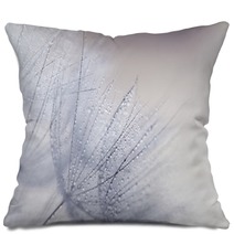 Plant Seeds With Water Drops Pillows 110156010