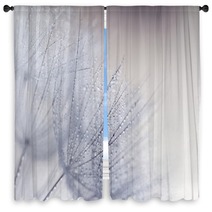 Plant Seeds With Water Drops Window Curtains 110156010