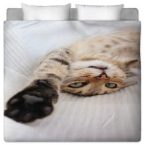 Playful Cat Bedding 53476864