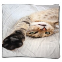 Playful Cat Blankets 53476864