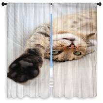 Playful Cat Window Curtains 53476864