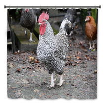 Plymouth Rock Rooster Bath Decor 98912745
