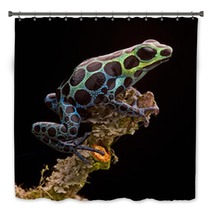 Poison Arrow Frog Peru Rain Forest Bath Decor 56294214