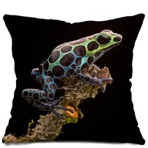 Poison Arrow Frog Peru Rain Forest Pillows 56294214