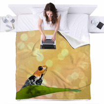Poison Frog Blankets 52052129