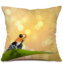 Poison Frog Pillows 52052129