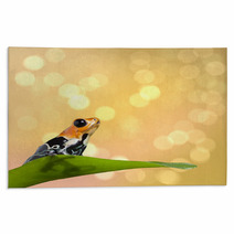 Poison Frog Rugs 52052129
