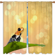 Poison Frog Window Curtains 52052129