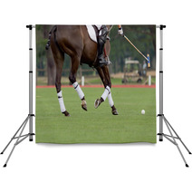 Polo Rider Aiming For The Ball Backdrops 44721987