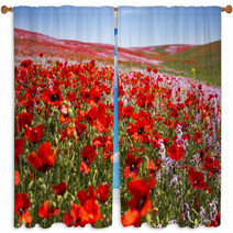 Poppies Window Curtains 54154378