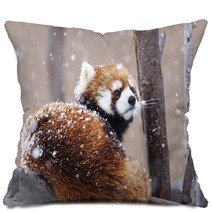 Popular person of Maruyama Zoo Pillows 93742824