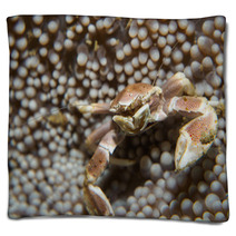 Porcelain Crab Blankets 99887968
