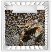Porcelain Crab Nursery Decor 99887968