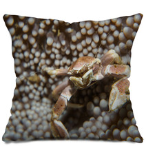 Porcelain Crab Pillows 99887968