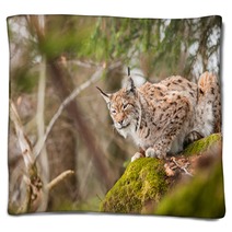 Portrait Lynx Blankets 81598392