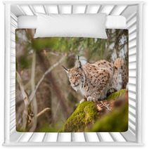 Portrait Lynx Nursery Decor 81598392