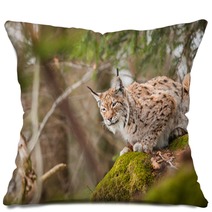 Portrait Lynx Pillows 81598392