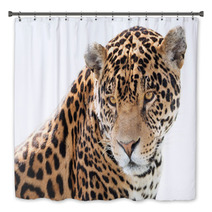 Portrait Of A Beautiful Jaguar Bath Decor 64054205