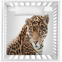 Portrait Of A Beautiful Jaguar Nursery Decor 64054205