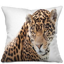 Portrait Of A Beautiful Jaguar Pillows 64054205