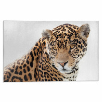 Portrait Of A Beautiful Jaguar Rugs 64054205