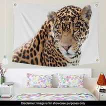 Portrait Of A Beautiful Jaguar Wall Art 64054205