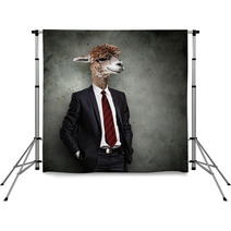 Portrait Of A Funny Camel In A Business Suit Backdrops 51385975
