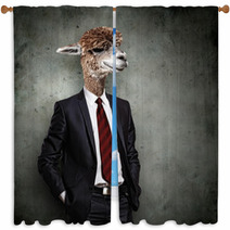 Portrait Of A Funny Camel In A Business Suit Window Curtains 51385975