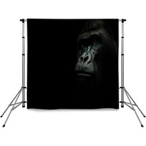 Portrait Of A Gorilla Isolated On Black Backdrops 119888649