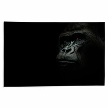 Portrait Of A Gorilla Isolated On Black Rugs 119888649