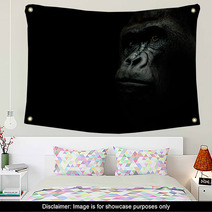 Portrait Of A Gorilla Isolated On Black Wall Art 119888649