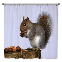 Portrait Of A Grey Squirrel Bath Decor 74292251