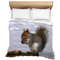 Portrait Of A Grey Squirrel Bedding 74292251
