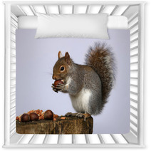 Portrait Of A Grey Squirrel Nursery Decor 74292251