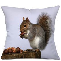 Portrait Of A Grey Squirrel Pillows 74292251