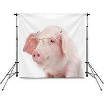 Portrait Of A Pig In Glasses Backdrops 59644378