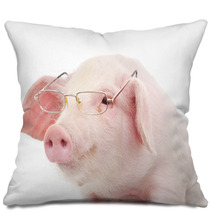 Portrait Of A Pig In Glasses Pillows 59644378
