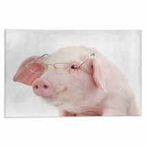 Portrait Of A Pig In Glasses Rugs 59644378